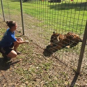 Meet your Posher, Amanda